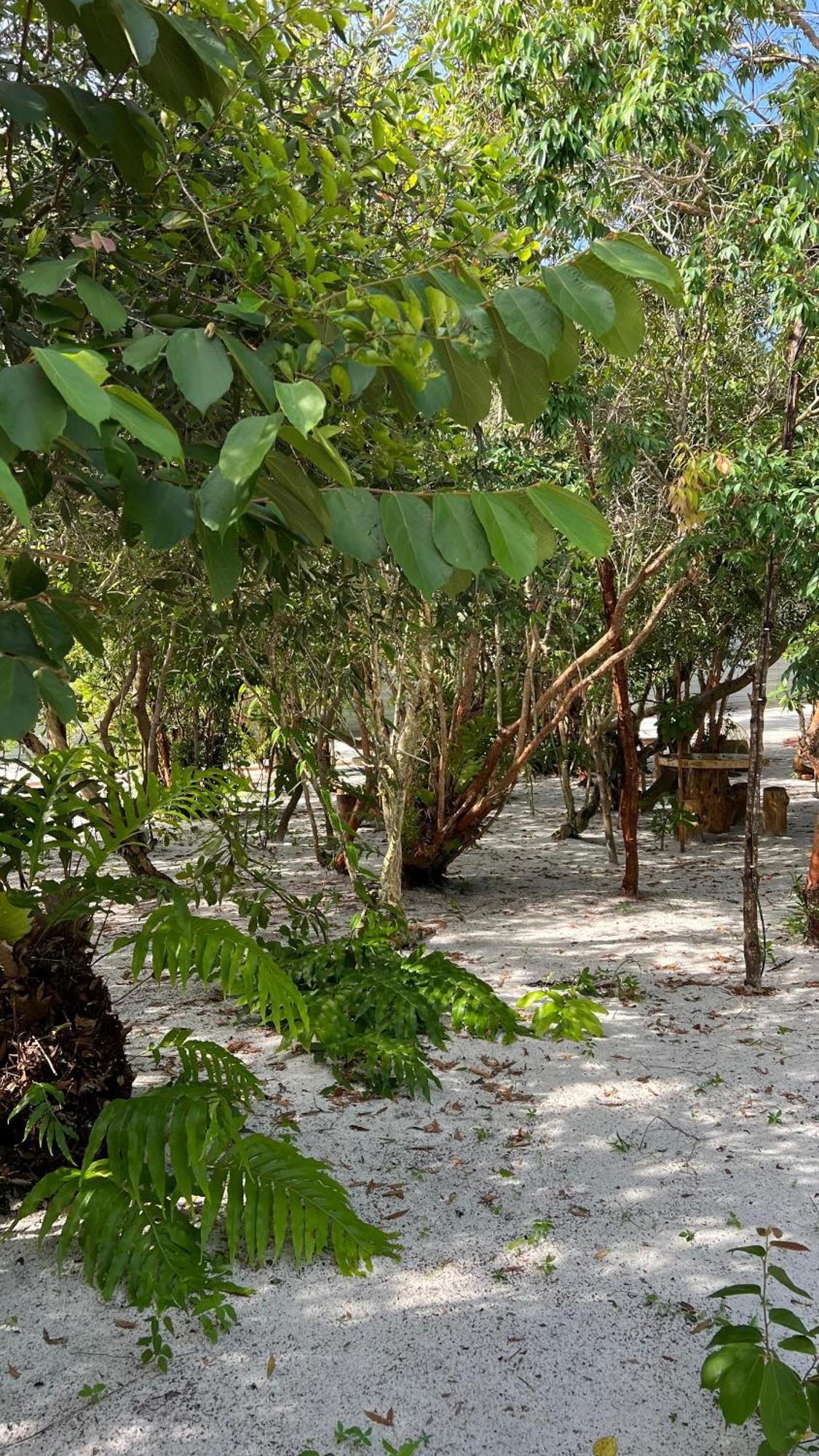 Golden Chenang Village Pantai Cenang  Exterior foto