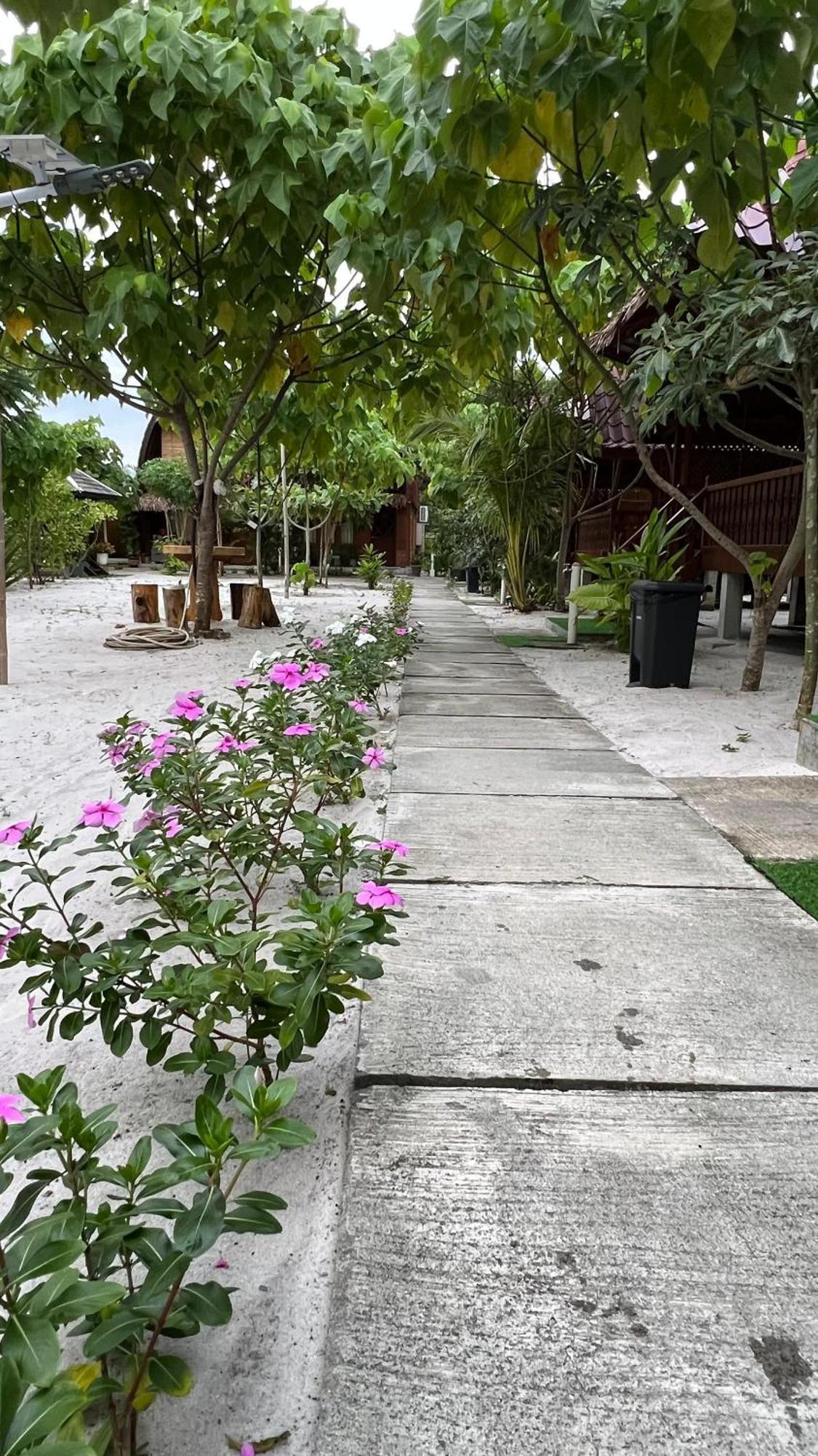 Golden Chenang Village Pantai Cenang  Exterior foto